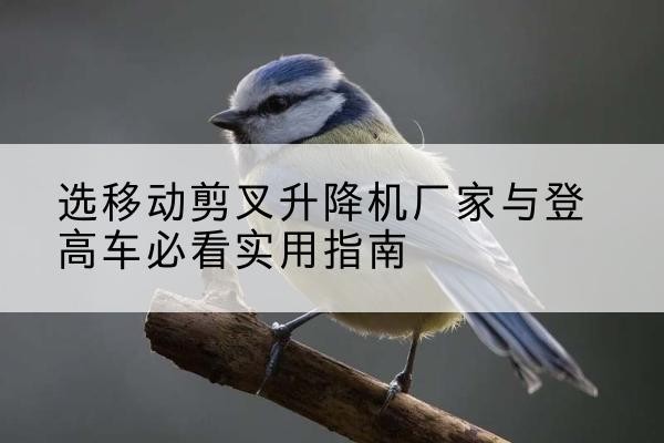 循化电动升降机厂家-选移动剪叉升降机厂家与登高车必看实用指南