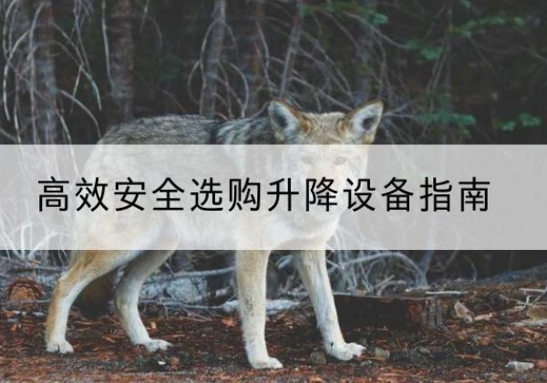 循化升降货梯厂家推荐-*安全选购升降设备指南