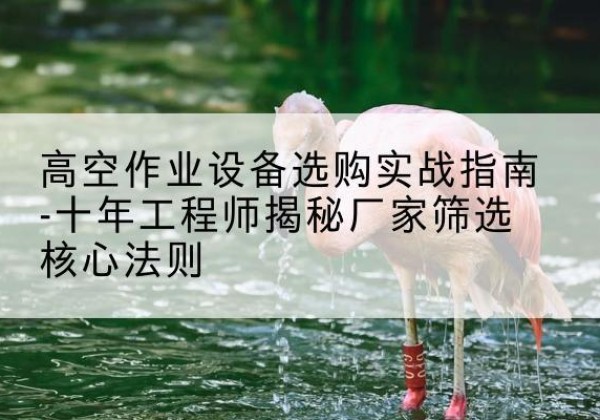 循化剪叉式升降机厂家-高空作业设备选购实战指南-十年工程师揭秘厂家筛选核心法则
